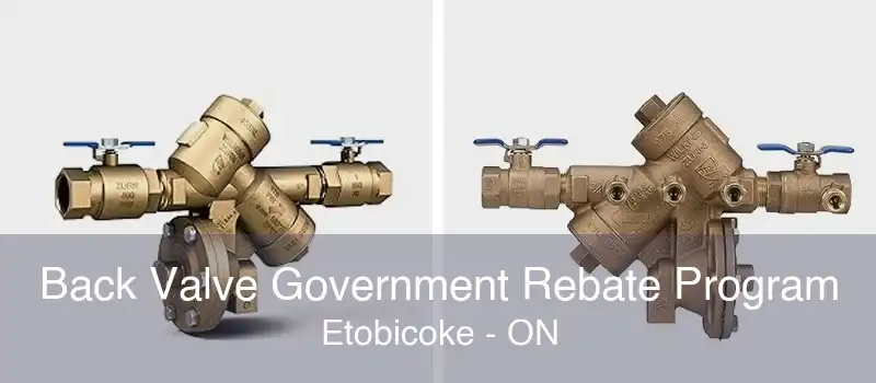 Back Valve Government Rebate Program Etobicoke - ON