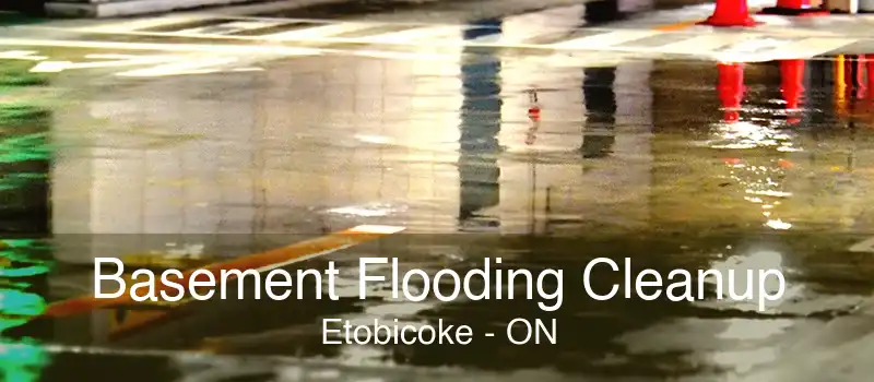 Basement Flooding Cleanup Etobicoke - ON