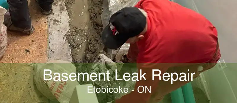 Basement Leak Repair Etobicoke - ON