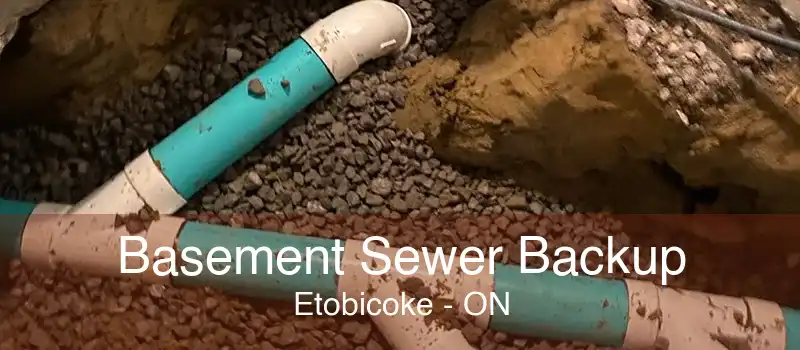 Basement Sewer Backup Etobicoke - ON