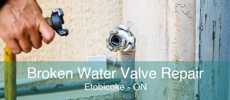 Broken Water Valve Repair Etobicoke - ON