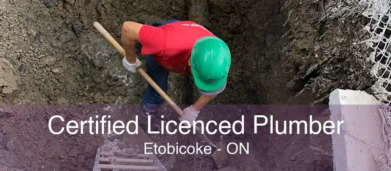 Certified Licenced Plumber Etobicoke - ON