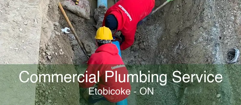 Commercial Plumbing Service Etobicoke - ON