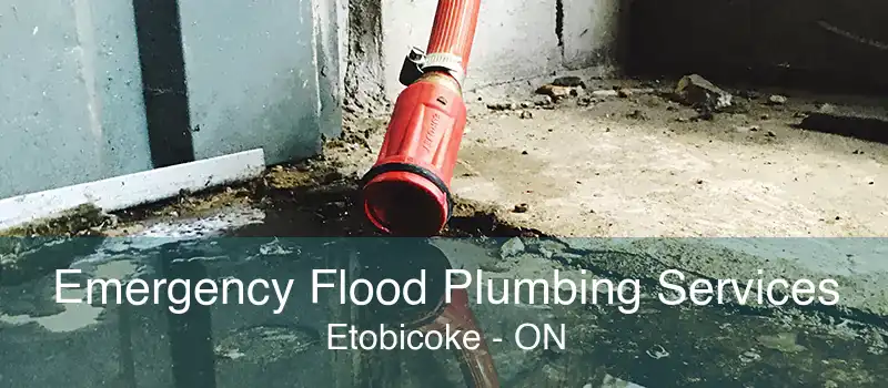 Emergency Flood Plumbing Services Etobicoke - ON