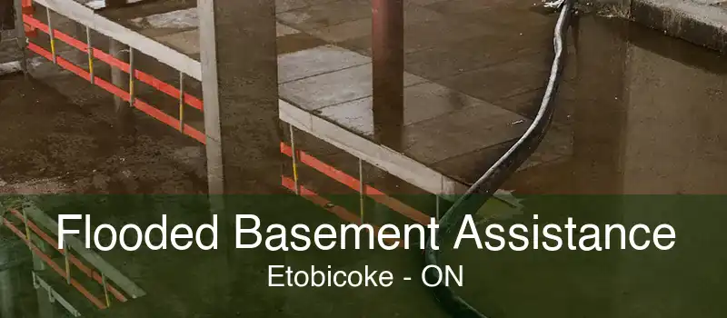 Flooded Basement Assistance Etobicoke - ON