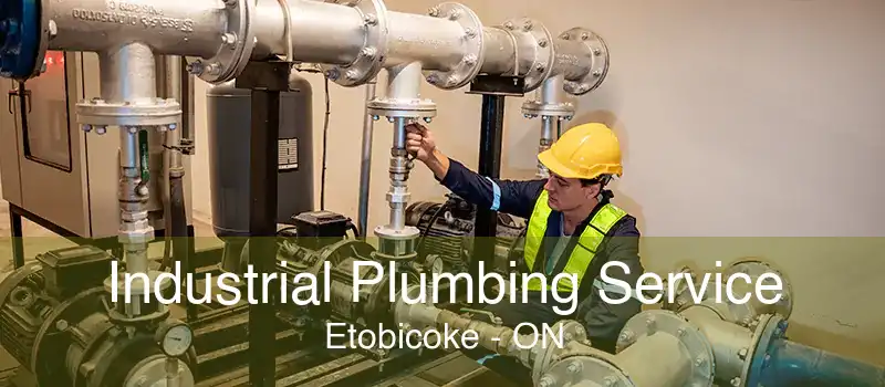 Industrial Plumbing Service Etobicoke - ON