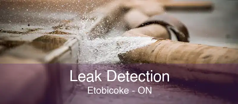 Leak Detection Etobicoke - ON