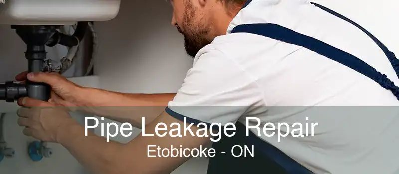 Pipe Leakage Repair Etobicoke - ON