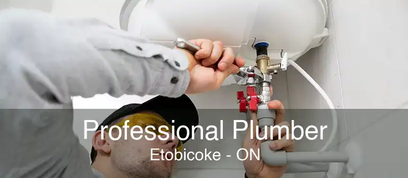 Professional Plumber Etobicoke - ON