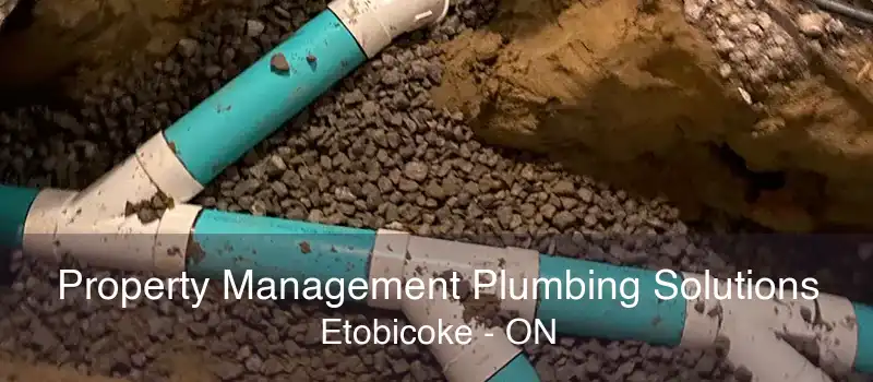 Property Management Plumbing Solutions Etobicoke - ON