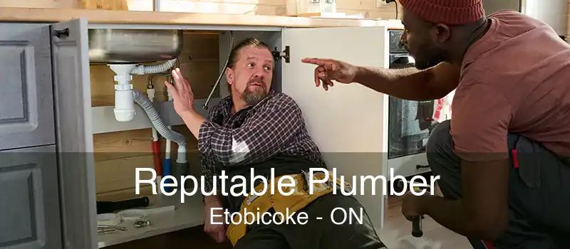 Reputable Plumber Etobicoke - ON