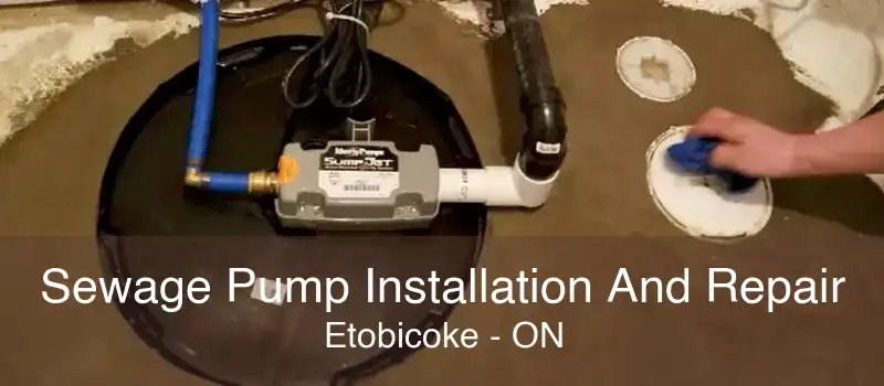 Sewage Pump Installation And Repair Etobicoke - ON