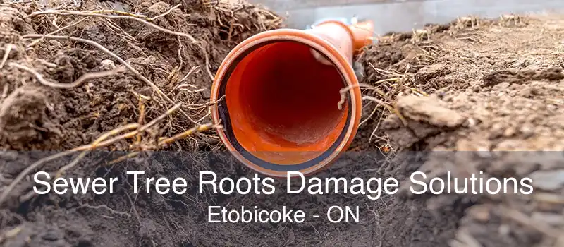 Sewer Tree Roots Damage Solutions Etobicoke - ON