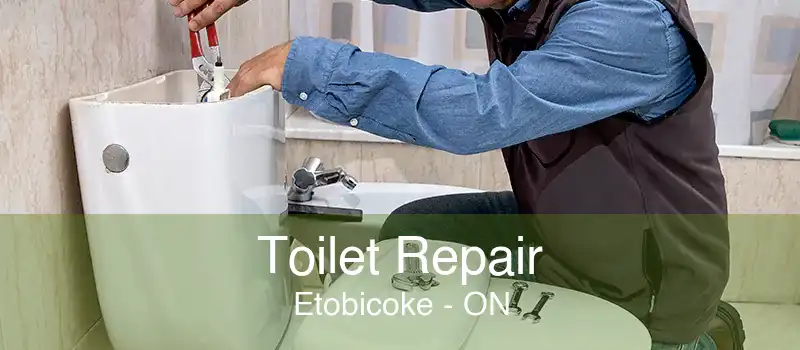 Toilet Repair Etobicoke - ON