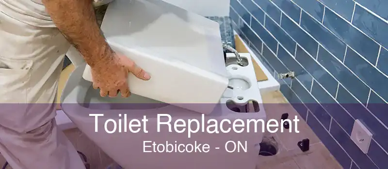 Toilet Replacement Etobicoke - ON