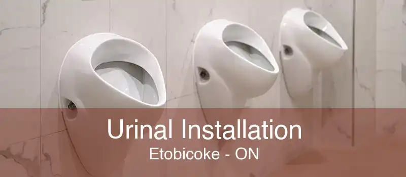 Urinal Installation Etobicoke - ON