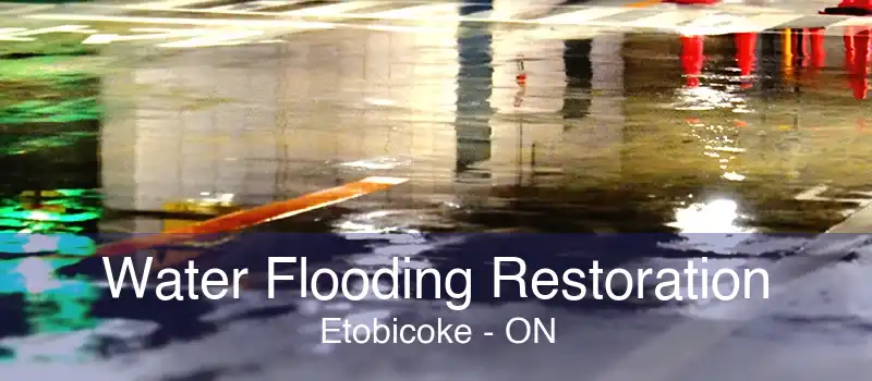 Water Flooding Restoration Etobicoke - ON