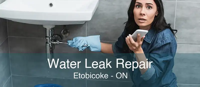 Water Leak Repair Etobicoke - ON