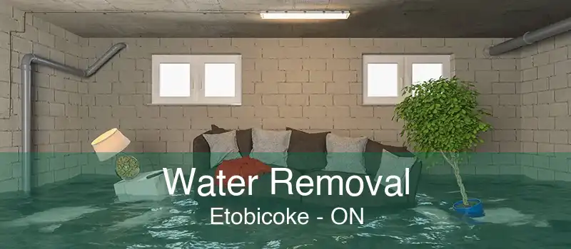 Water Removal Etobicoke - ON