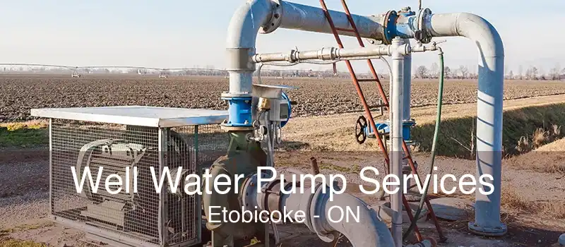 Well Water Pump Services Etobicoke - ON